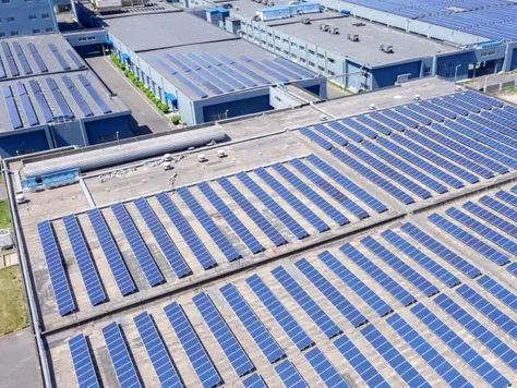 Самообедание